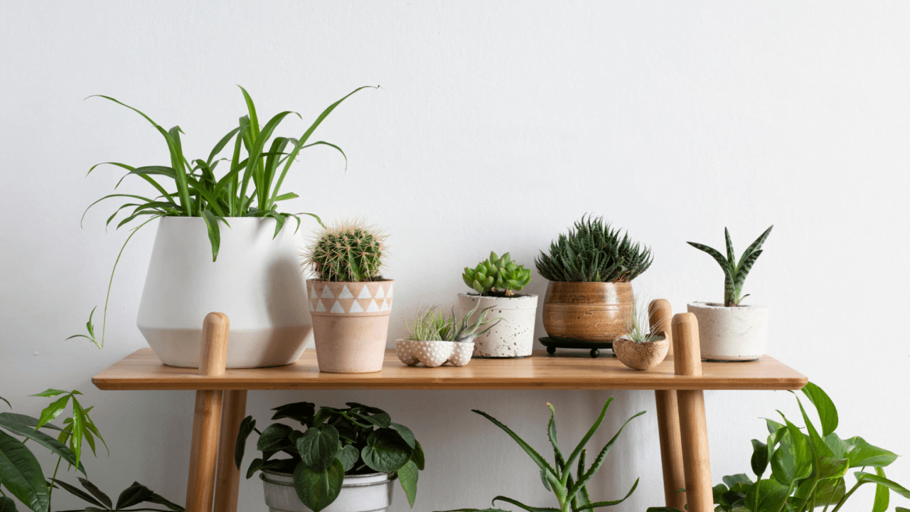 Blumenlieferung für besondere Momente – Blumen für jeden Anlass