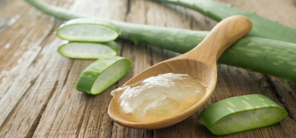 Unabhängiger Distributor von Forever Living Products: Aloe First und seine Anwendungen