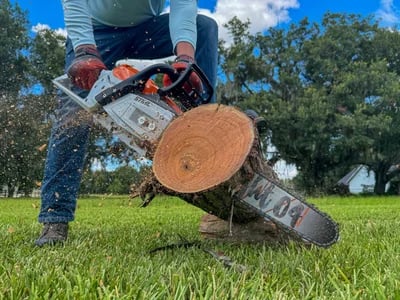 Stihl Motorgeräte für Profis: Von Baumpflege bis Geländefreilegung