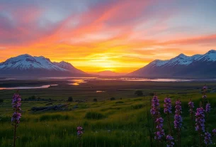Erleben Sie eine faszinierende Reise nach Island mit Nordlichtern über Gletschern und Wasserfällen im Sonnenuntergang.